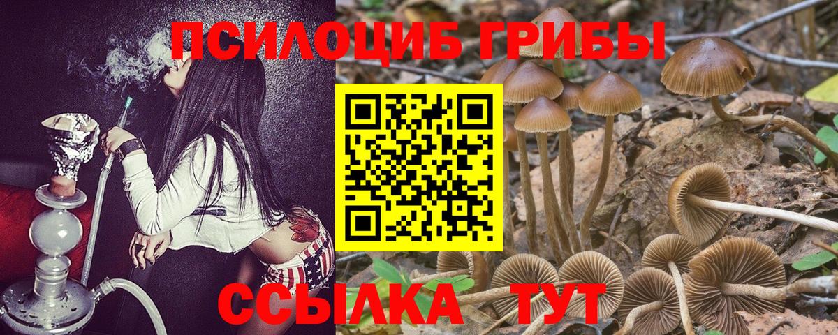 Галлюциногенные грибы ЛСД Семёнов